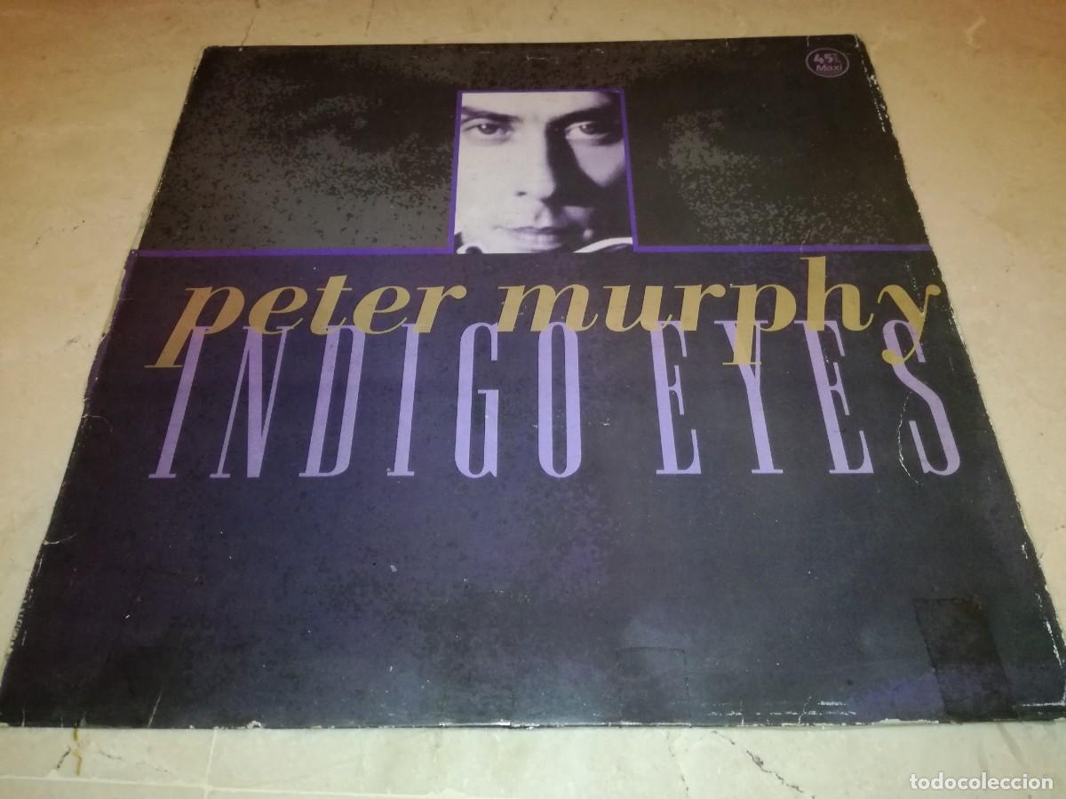 Discos de vinilo: PETER MURPHY-INDIGO EYES-ORIGINAL ESPA&Ntilde;OL 1988 - Foto 1
