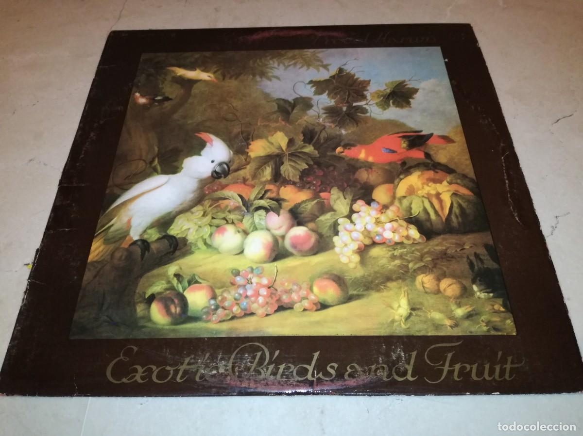 Discos de vinilo: PROCOL HARUM-EXOTIC BIRDS AND FRUIT-ORIGINAL USA 1974