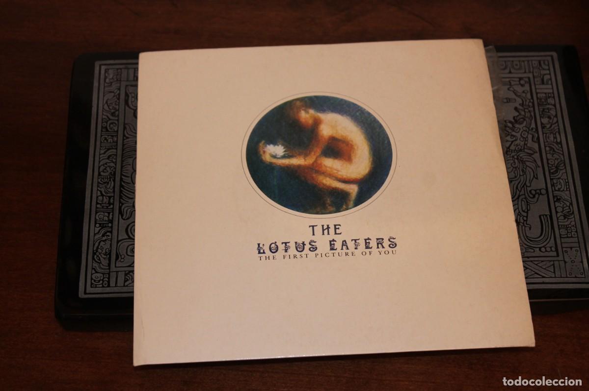 Discos de vinilo: THE LOTUS EATERS - THE FIRST PICTURE OF YOU