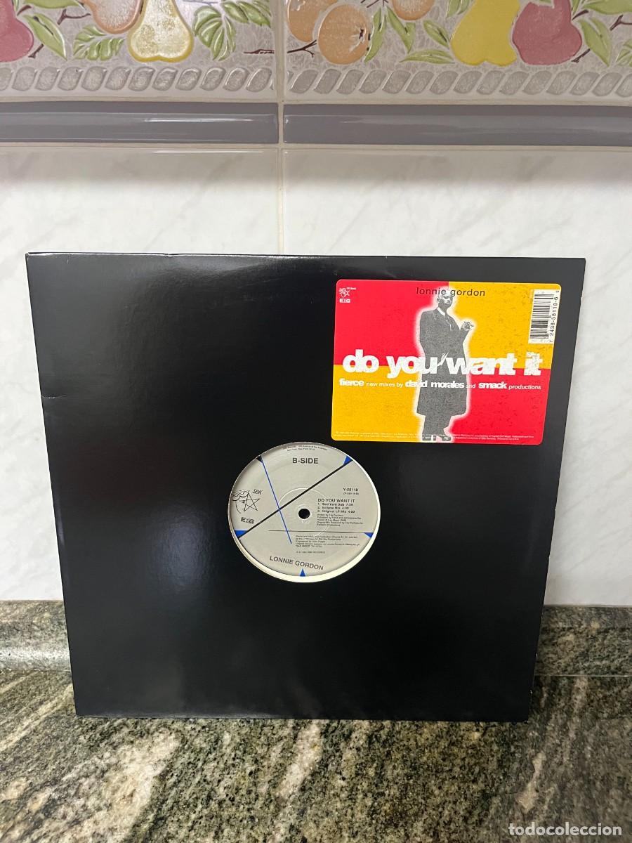 Discos de vinilo: Lonnie Gordon Do You Want It