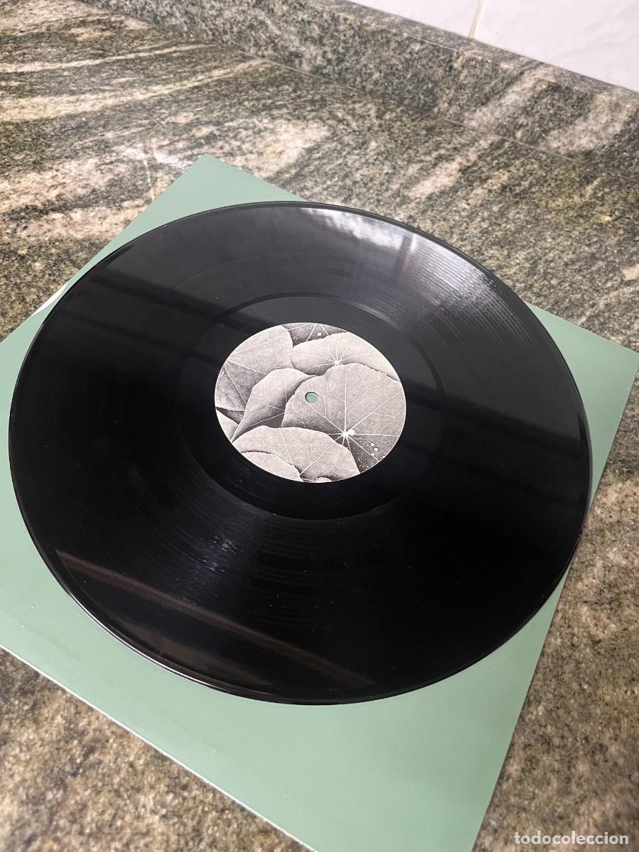 Discos de vinilo: Technasia &lrm;&ndash; Evergreen - Foto 3