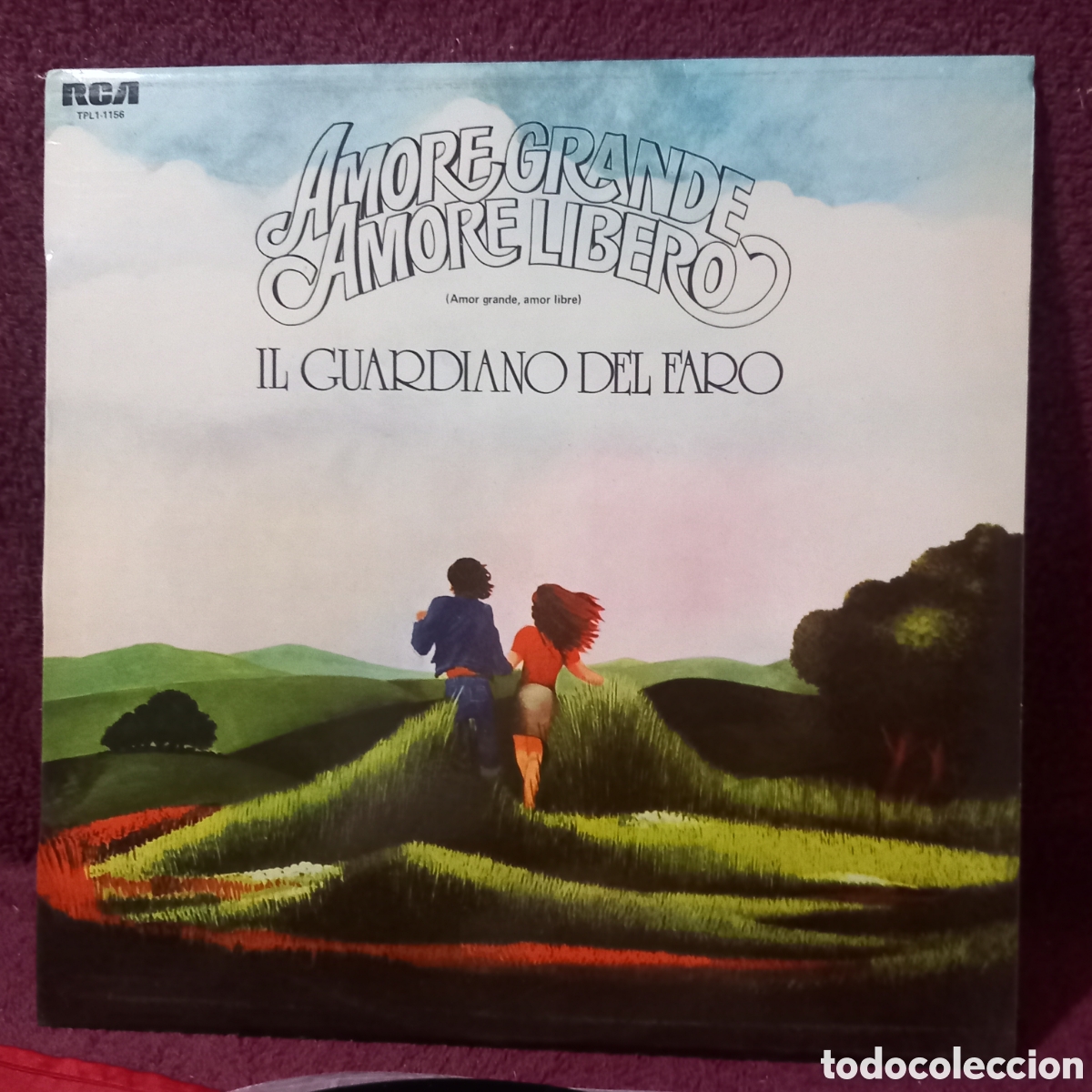 Vinyl records: LP AMORE GRANDE AMORE LIBERO(1975 RCA)COMO NUEVO!!