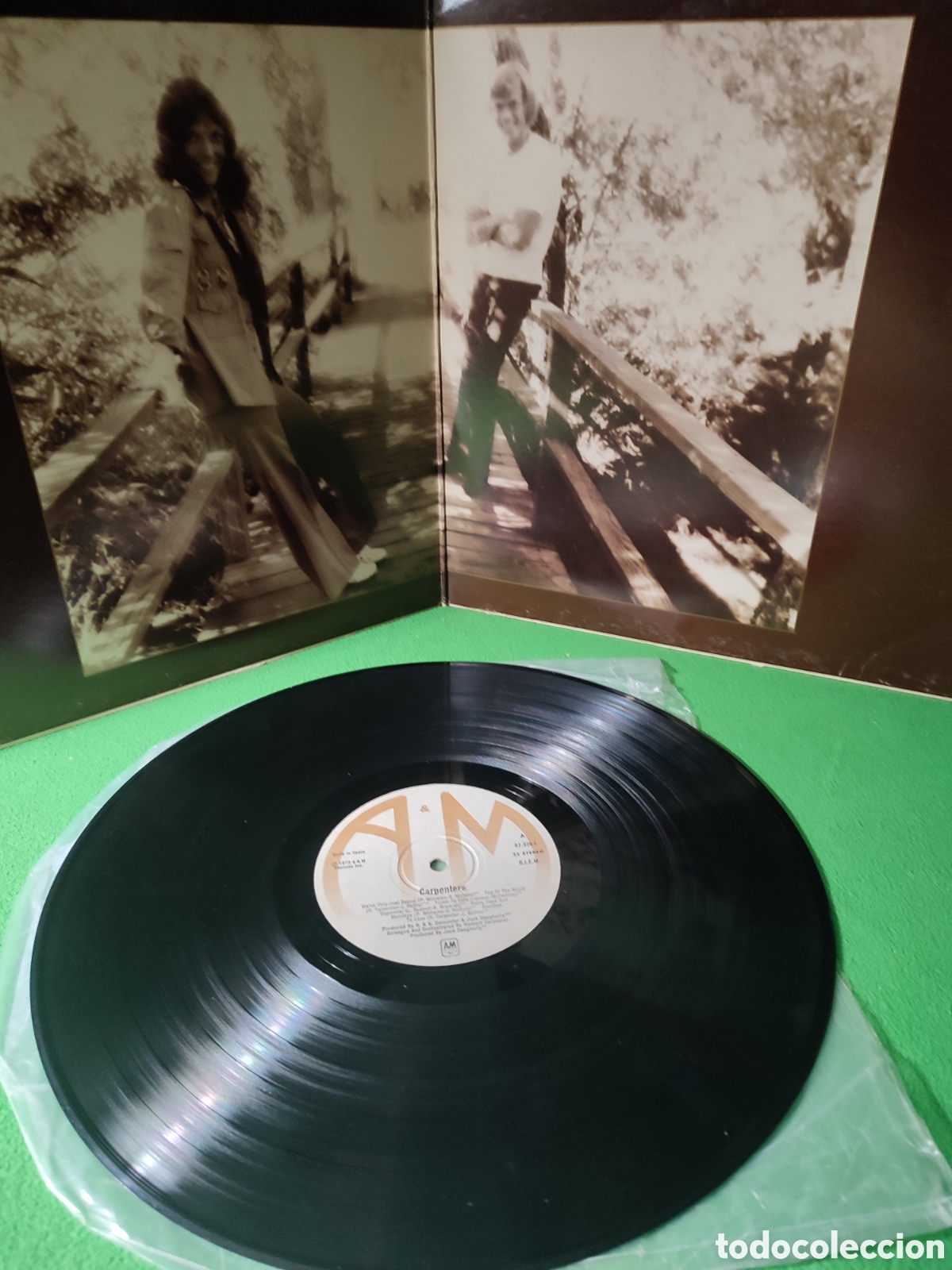 Discos de vinilo: Carpenters - The Hits edici&oacute;n original 1973 - Foto 2