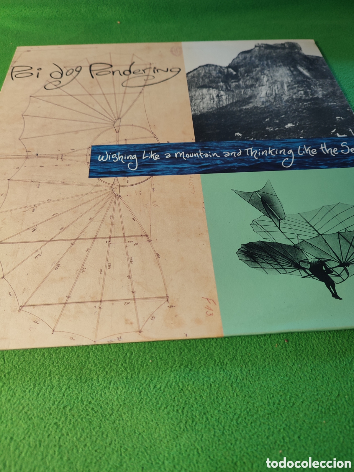 Discos de vinilo: Poi Dog Pondering - Wishing like mountain ....