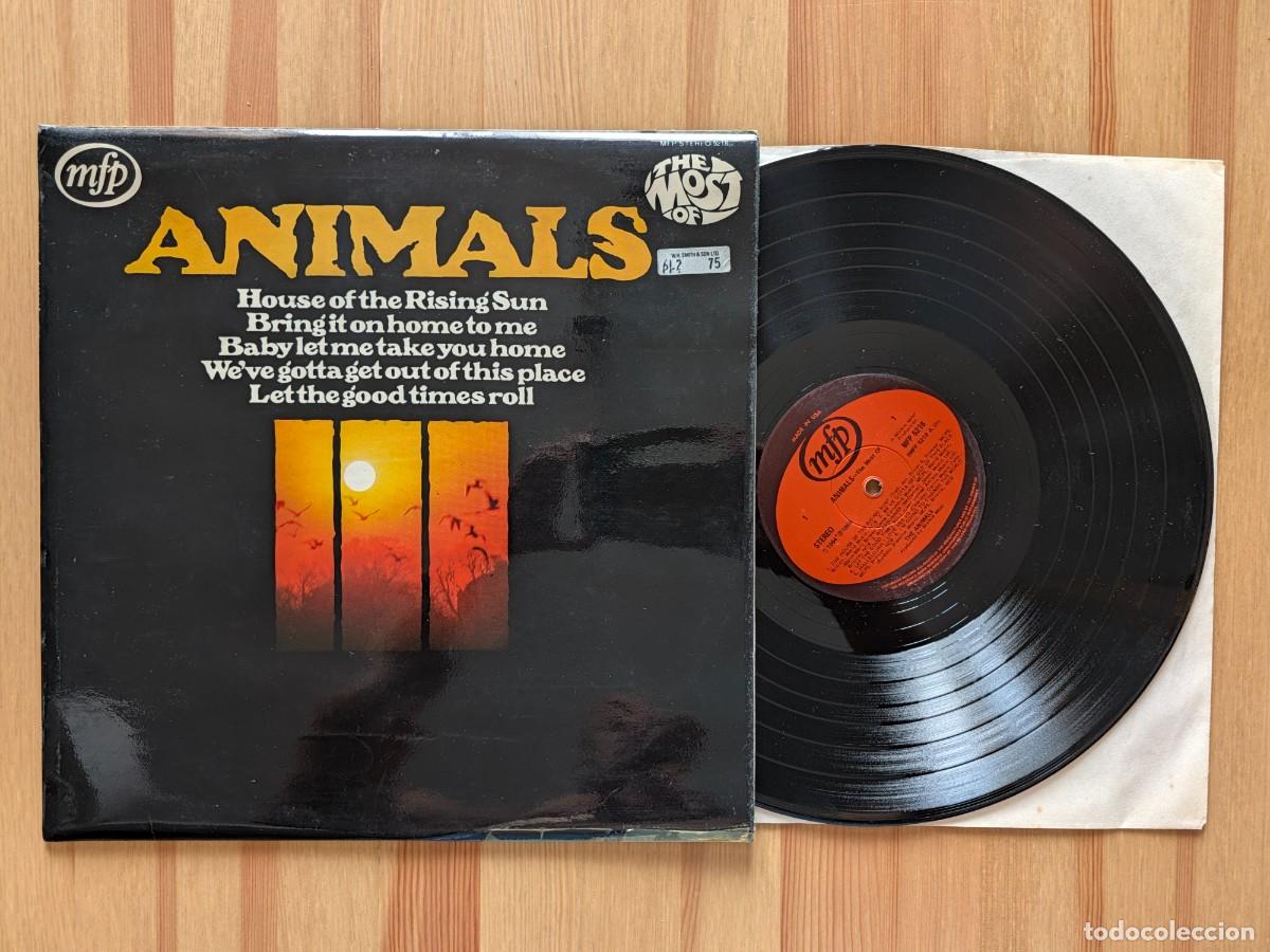 Discos de vinilo: Animals &ndash; The Most Of