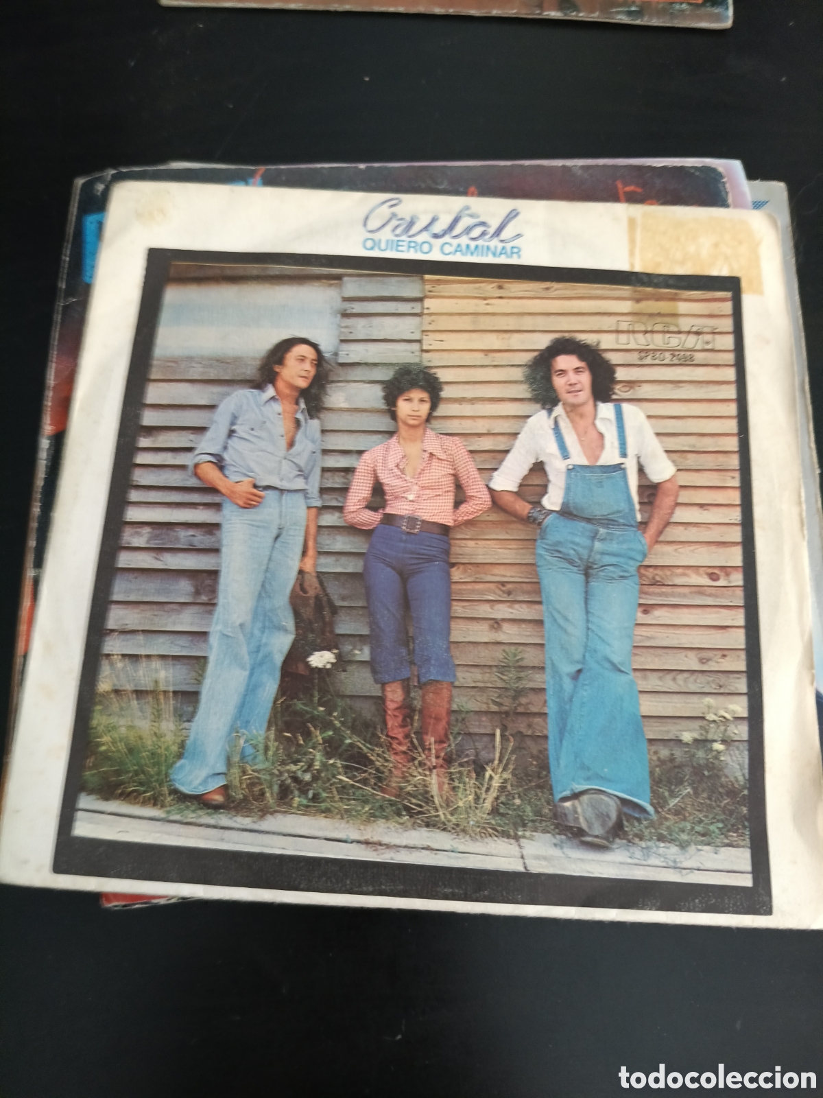 Discos de vinilo: Cristal &ndash; Quiero Caminar. Vinilo 7&rdquo; single 1976 Espa&ntilde;a