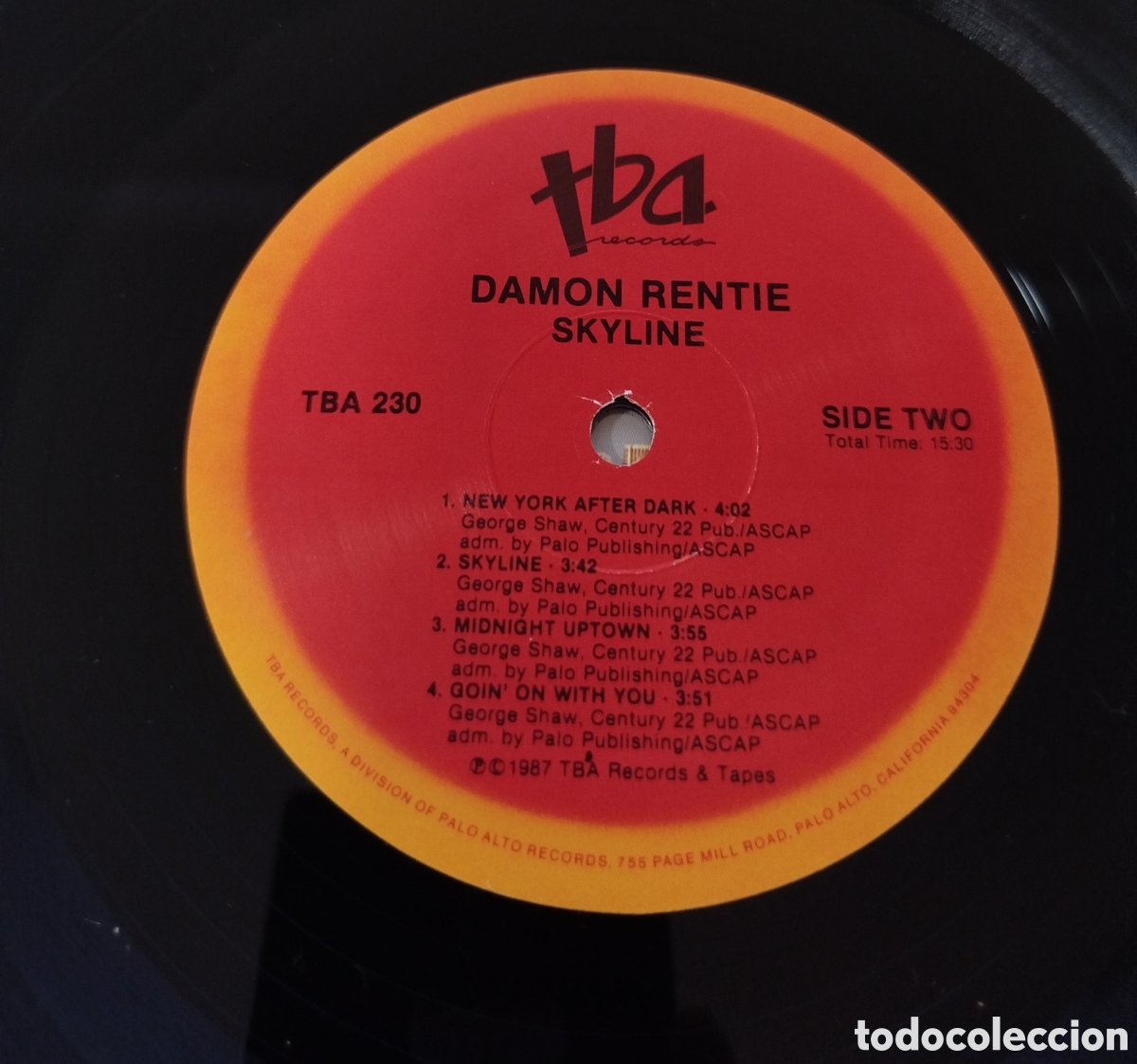 Discos de vinilo: Damon Rentie - Skyline - Foto 3