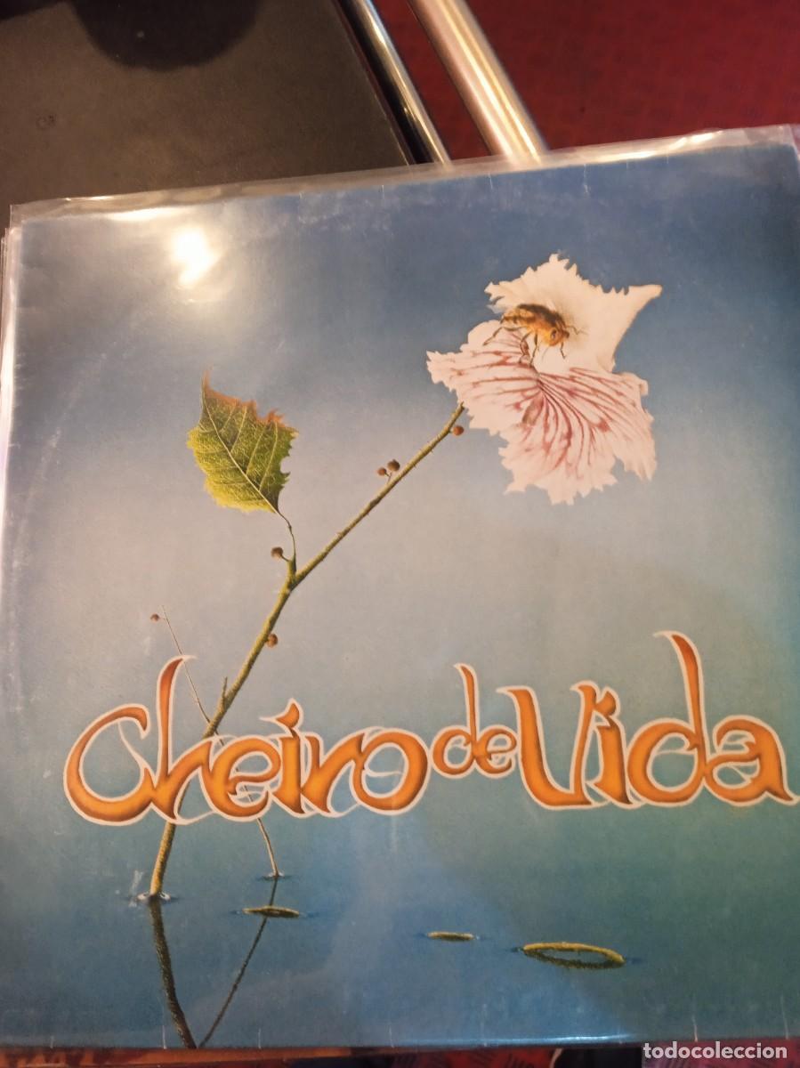 Discos de vinilo: CLEIRO DE VIDA- CLEIRO DE VIDA. LP