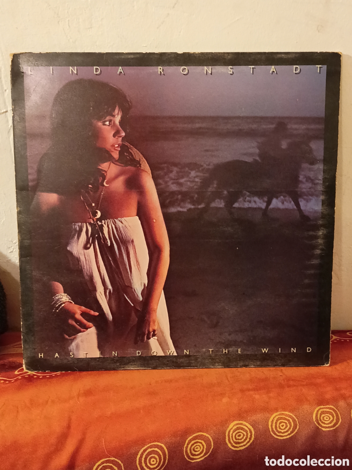 Vinyl-Schallplatten: LINDA RONSTADT,HASTEN DOWN THE WIND