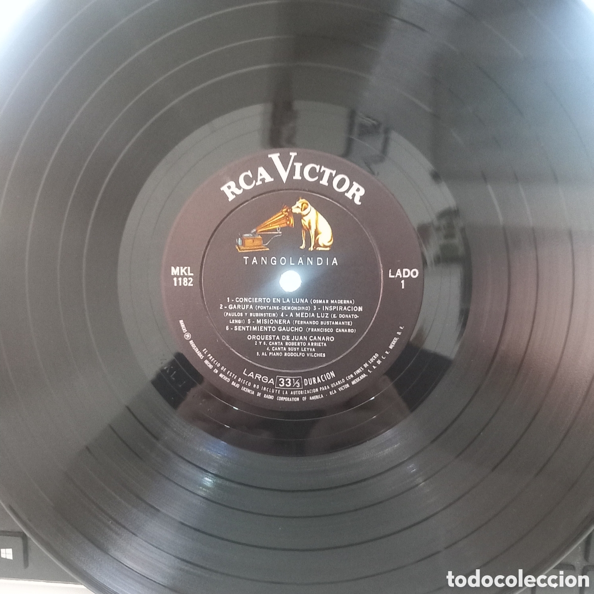 Discos de vinilo: Lp Musica Tango Juan canaro Francisco sus leyva Roberto arrieta Roberto vilches Tangos garufa
