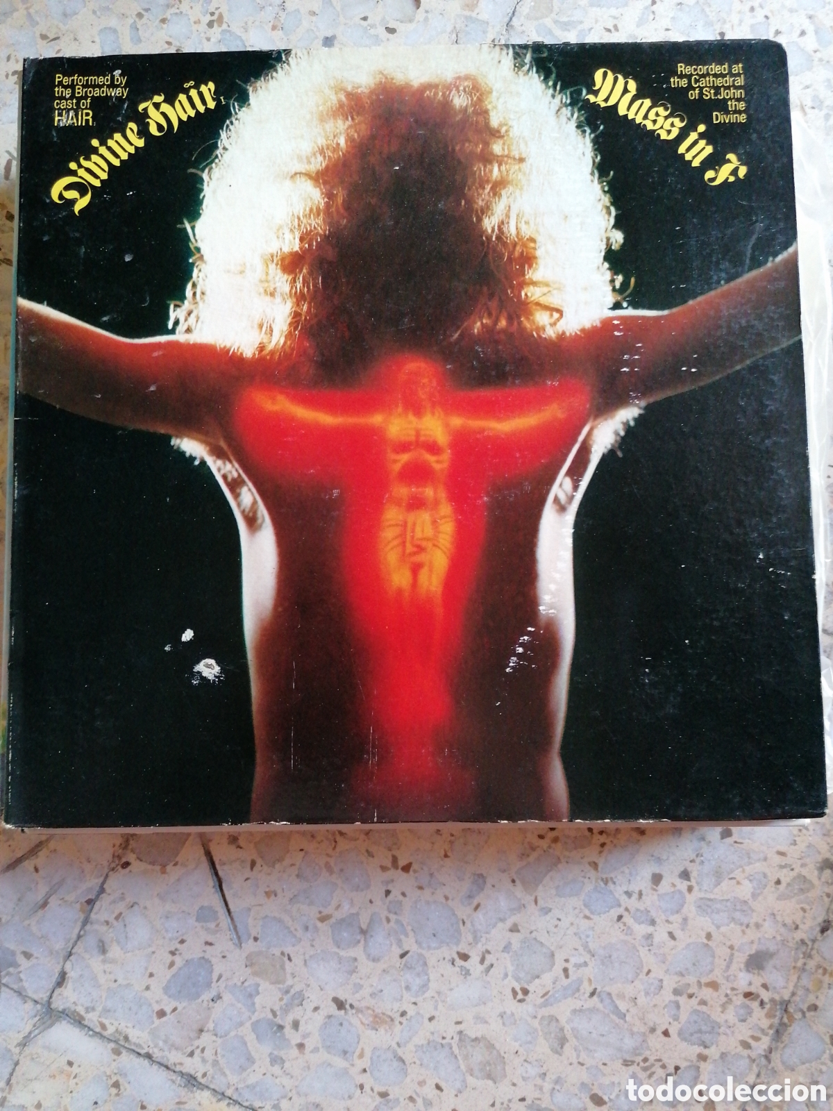 Disques de vinyle: LP DIVINE HAIRMASS IN F BSO 1971 USA PORTADA DOBLE