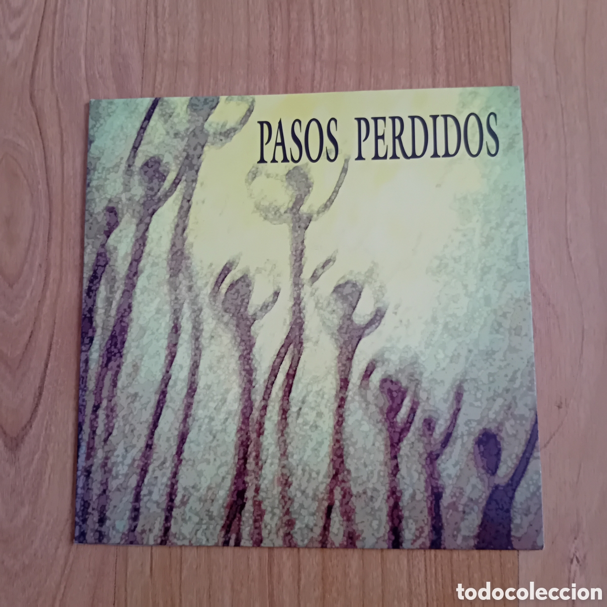Discos de vinilo: PASOS PERDIDOS. 30 GRADOS. EN EL SUR