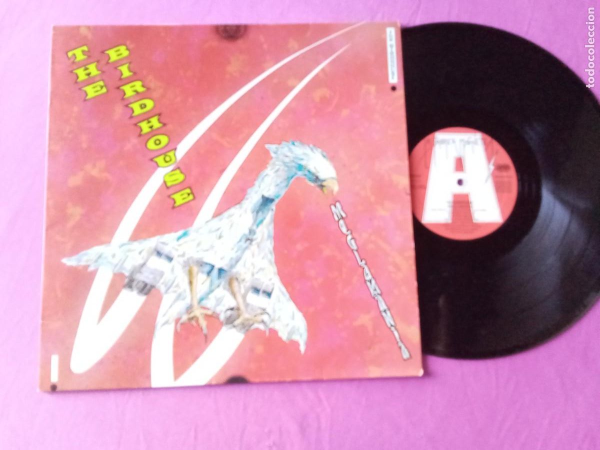 Dischi in vinile: THE BIRDHOUSE MEGLAMANIA LP 1988 L32 33