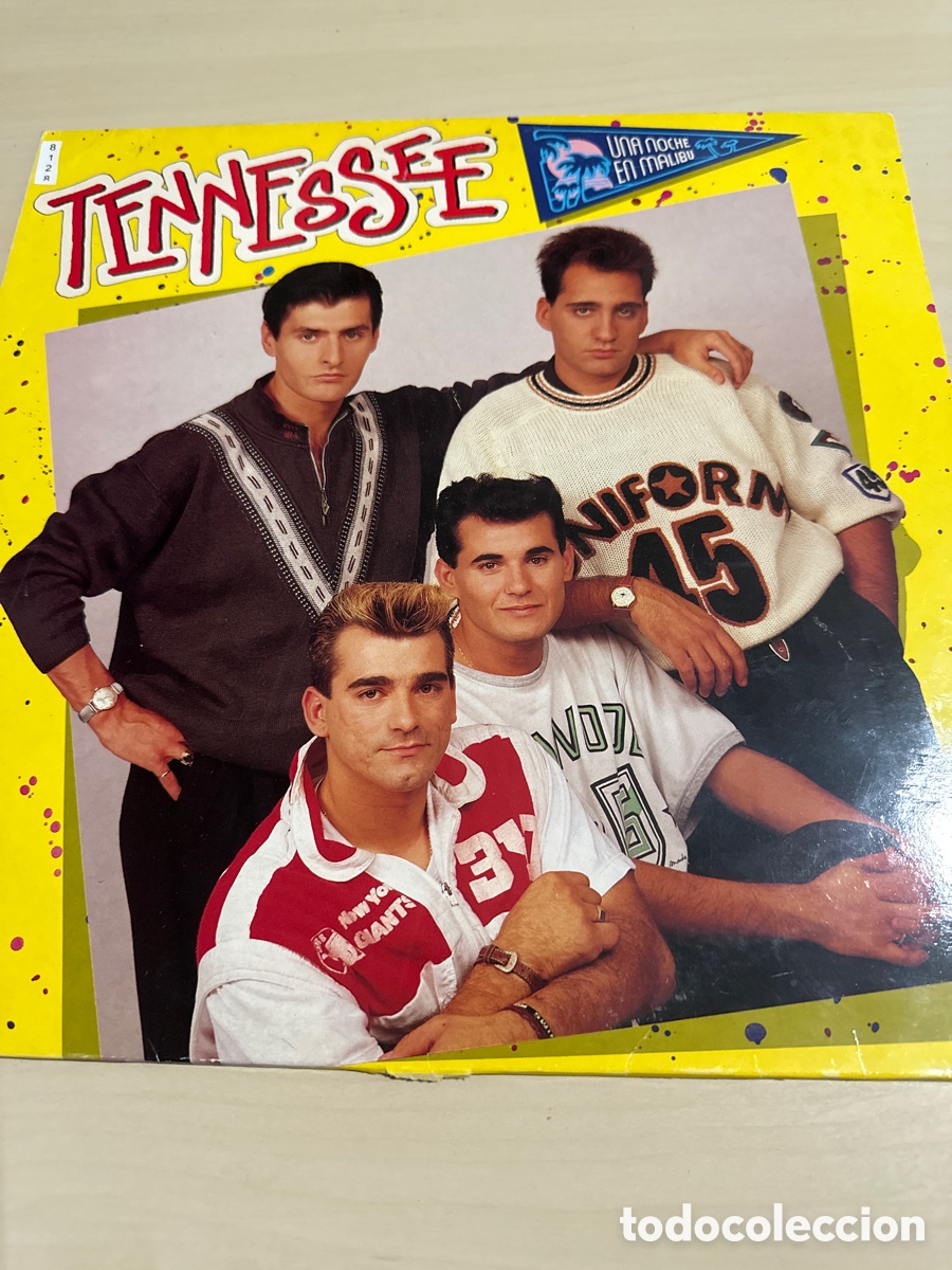 Discos de vinilo: VIN8128 Tennessee una noche en malibu vinilo segunda mano