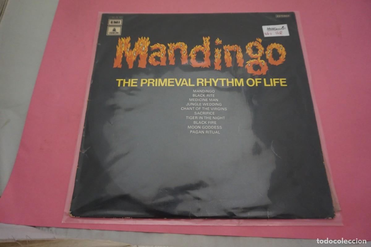 Vinyl-Schallplatten: LP/ MANDINGO - THE PRIMAVERAL RHYTHM OF LIFE - EL VINILO ESTA EN BUEN ESTADO