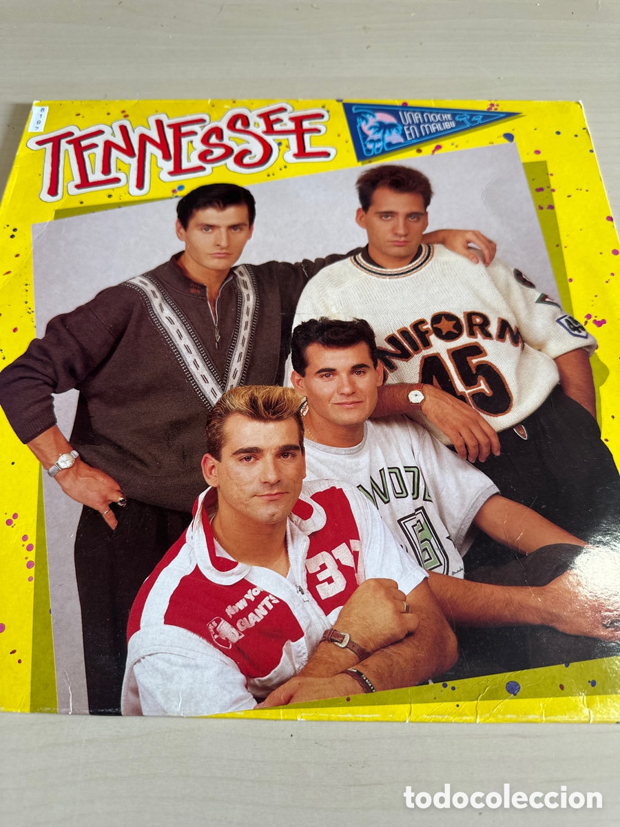 Discos de vinilo: VIN8192 Tennessee una noche en malibu vinilo segunda mano