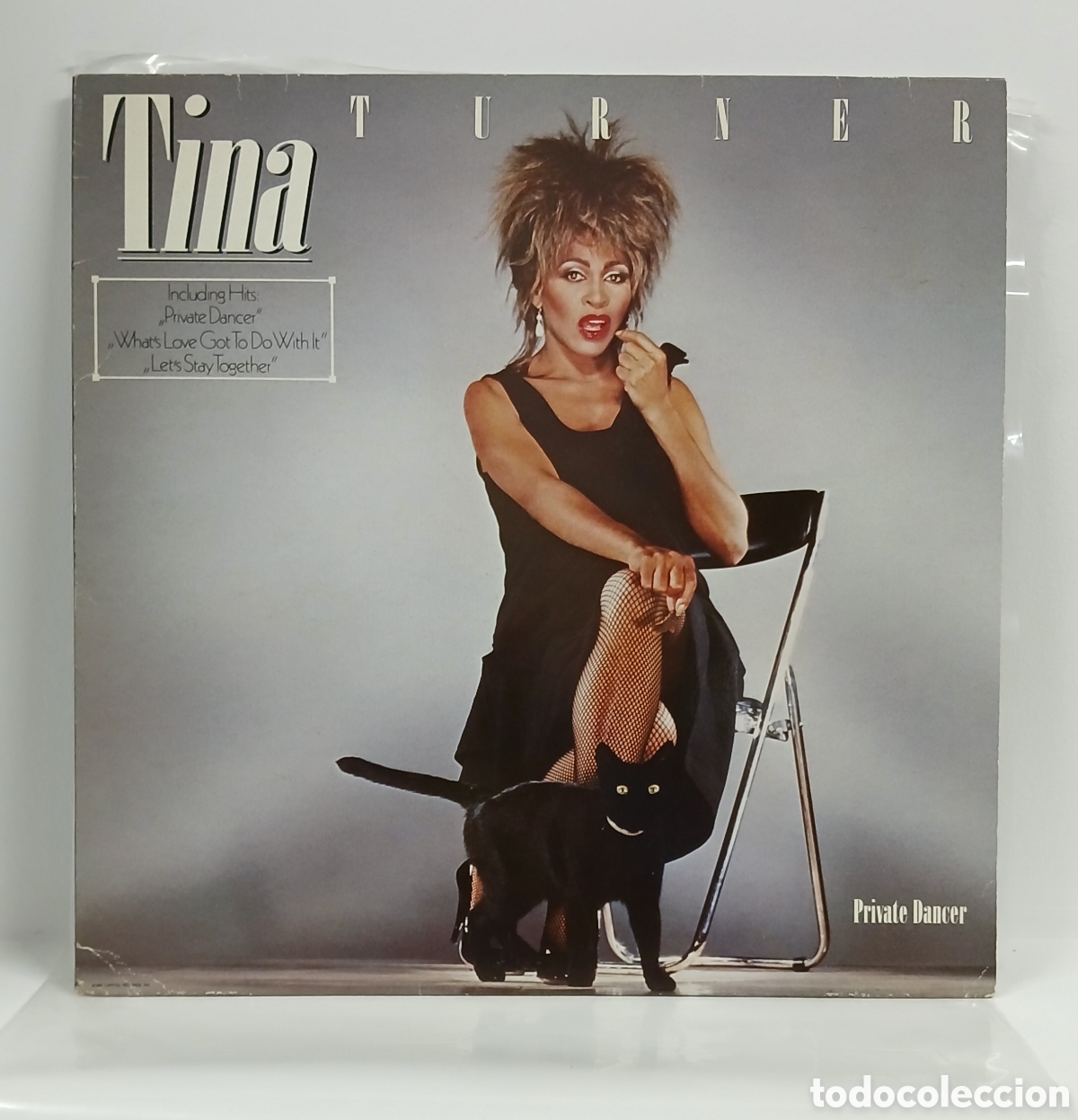 Vinyl records: TINA TURNER &rdquo;PRIVATE DANCER&rdquo; LP. ORIG. HOLLAND. 1984 (VG+)