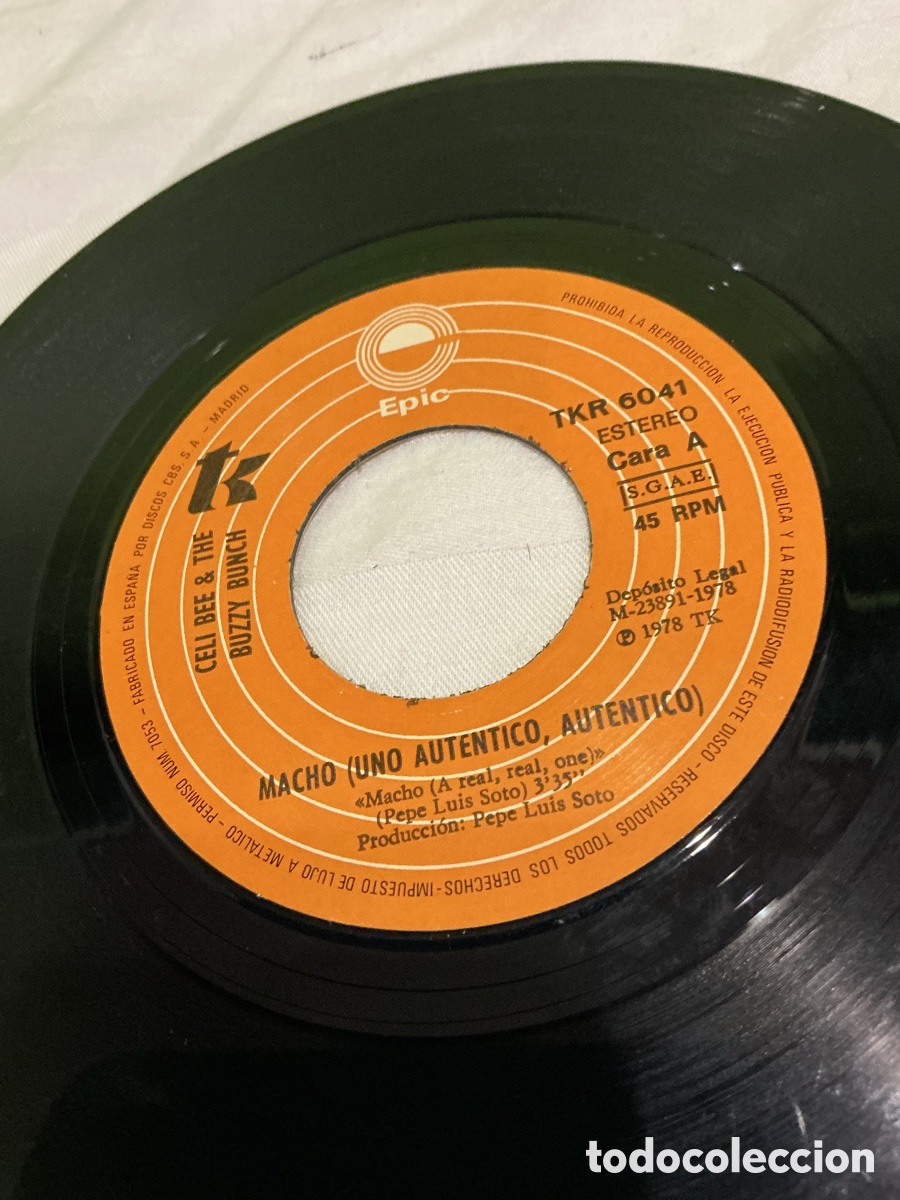 Discos de vinilo: CELI BEE & THE BUZZY BUNCH &ndash; MACHO &ndash; SINGLE 1978 - Foto 4