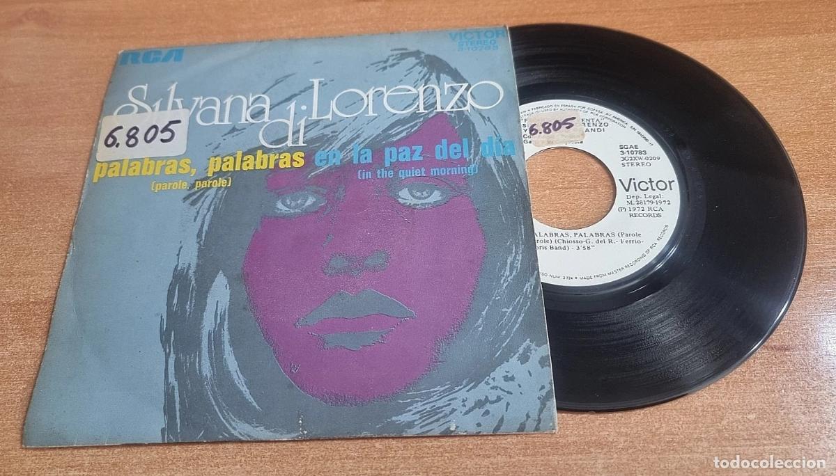 Discos de vinilo: SILVANA DI LORENZO Palabras palabras CANTADO EN ESPA&Ntilde;OL 7&rdquo; SINGLE VINILO PROMO DEL A&Ntilde;O 1972 2 TEMAS
