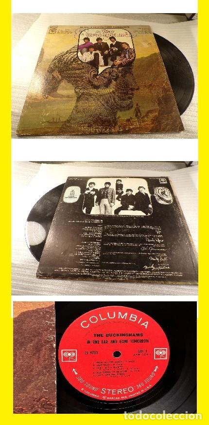 Vinyl-Schallplatten: THE BUCKINGHAMS - in one ear and gone tomorrow 68, PSYCH BAND-LIMT EDIC 360 SOUND, ORIG USA.