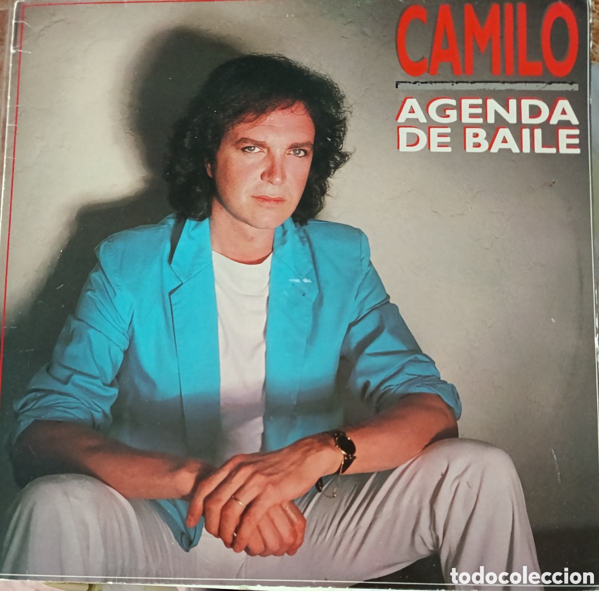 Disques de vinyle: Camilo Sesto Lp sello Ariola editado en Espa&ntilde;a a&ntilde;o 1986 promocional.