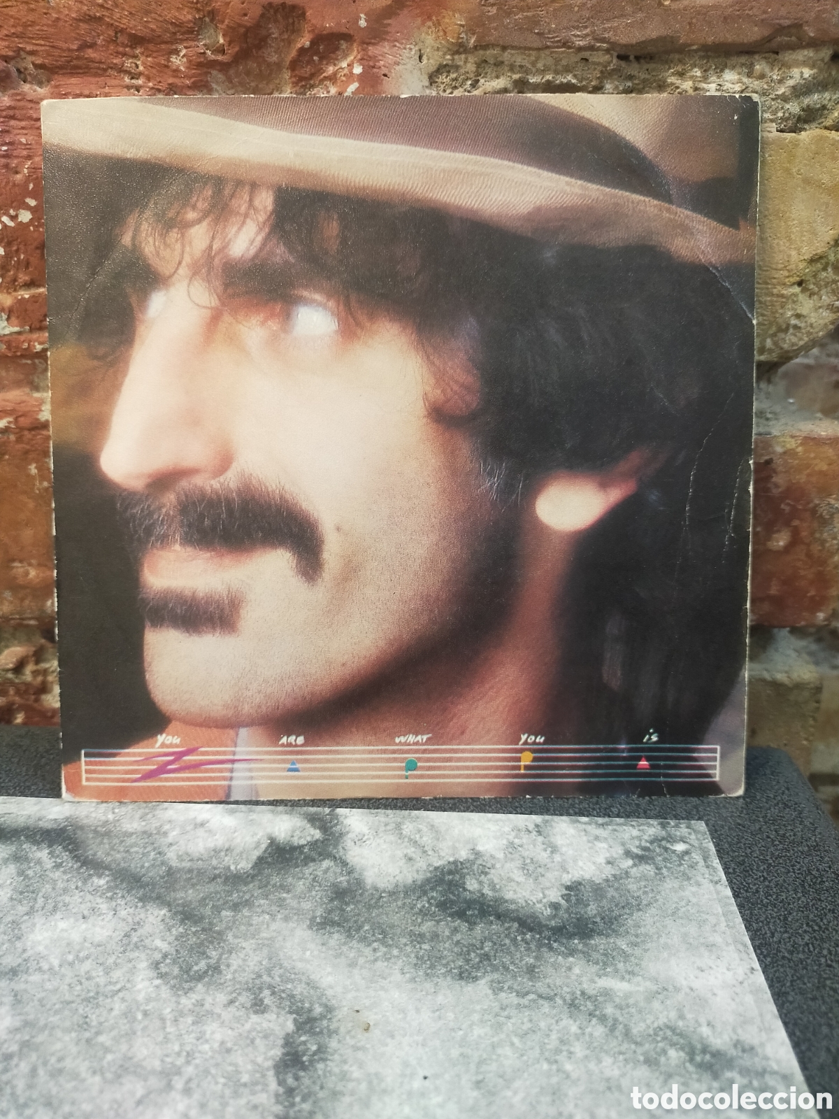 Discos de vinilo: Single vinilo You Are What You Is de Frank Zappa