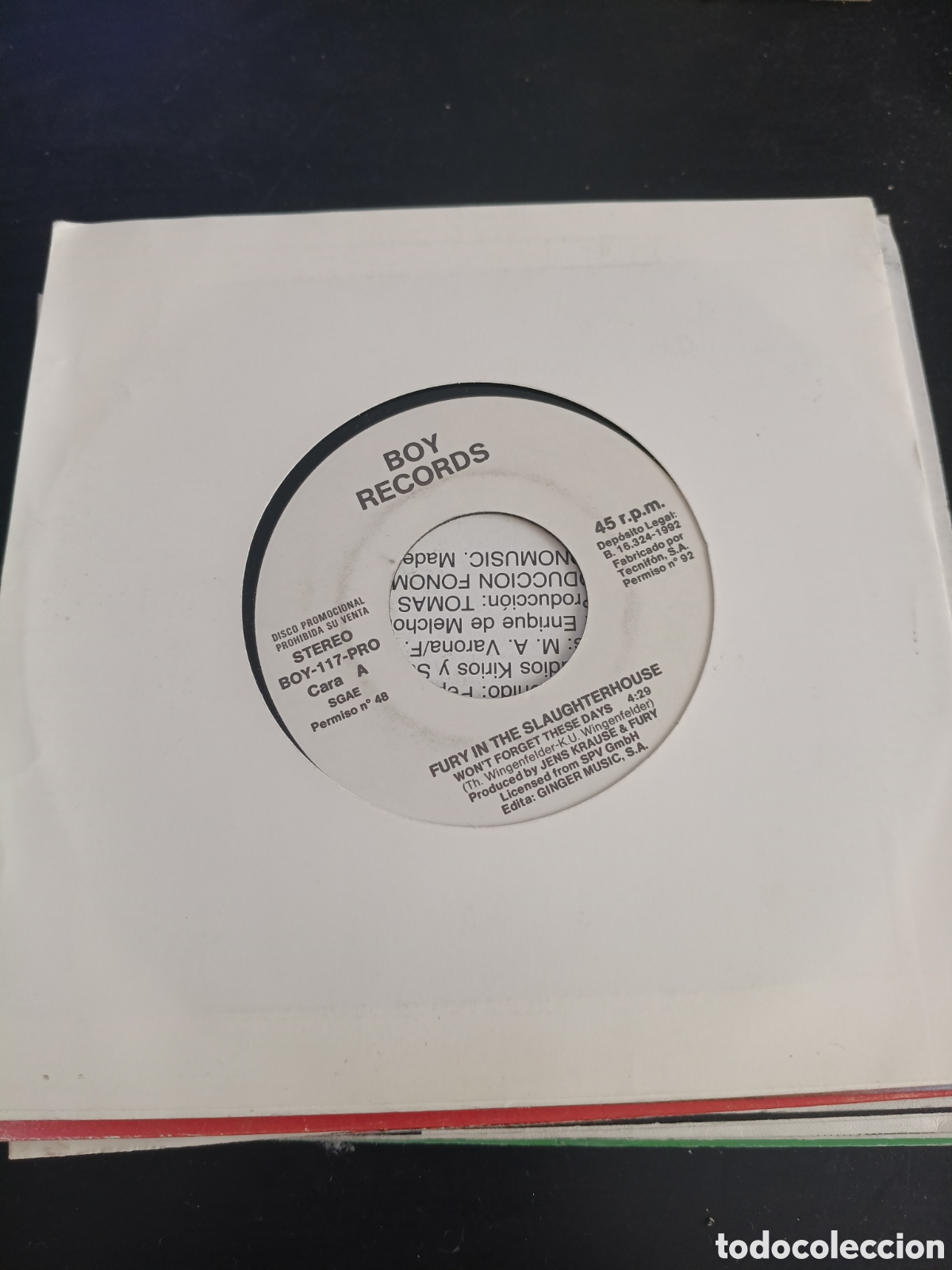 Discos de vinilo: Fury In The Slaughterhouse &ndash; Won't Forget These Days. Vinilo 7&rdquo; single promo 1992 Espa&ntilde;a