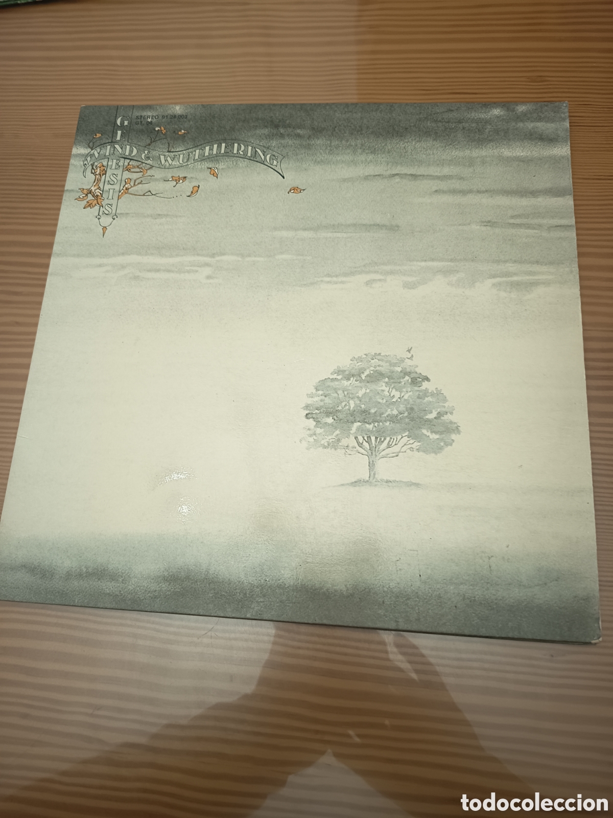 Discos de vinilo: Disco vinilo LP de G&eacute;nesis &rdquo; Wind & Wuthering &rdquo; , primera edici&oacute;n espa&ntilde;ola de 1976
