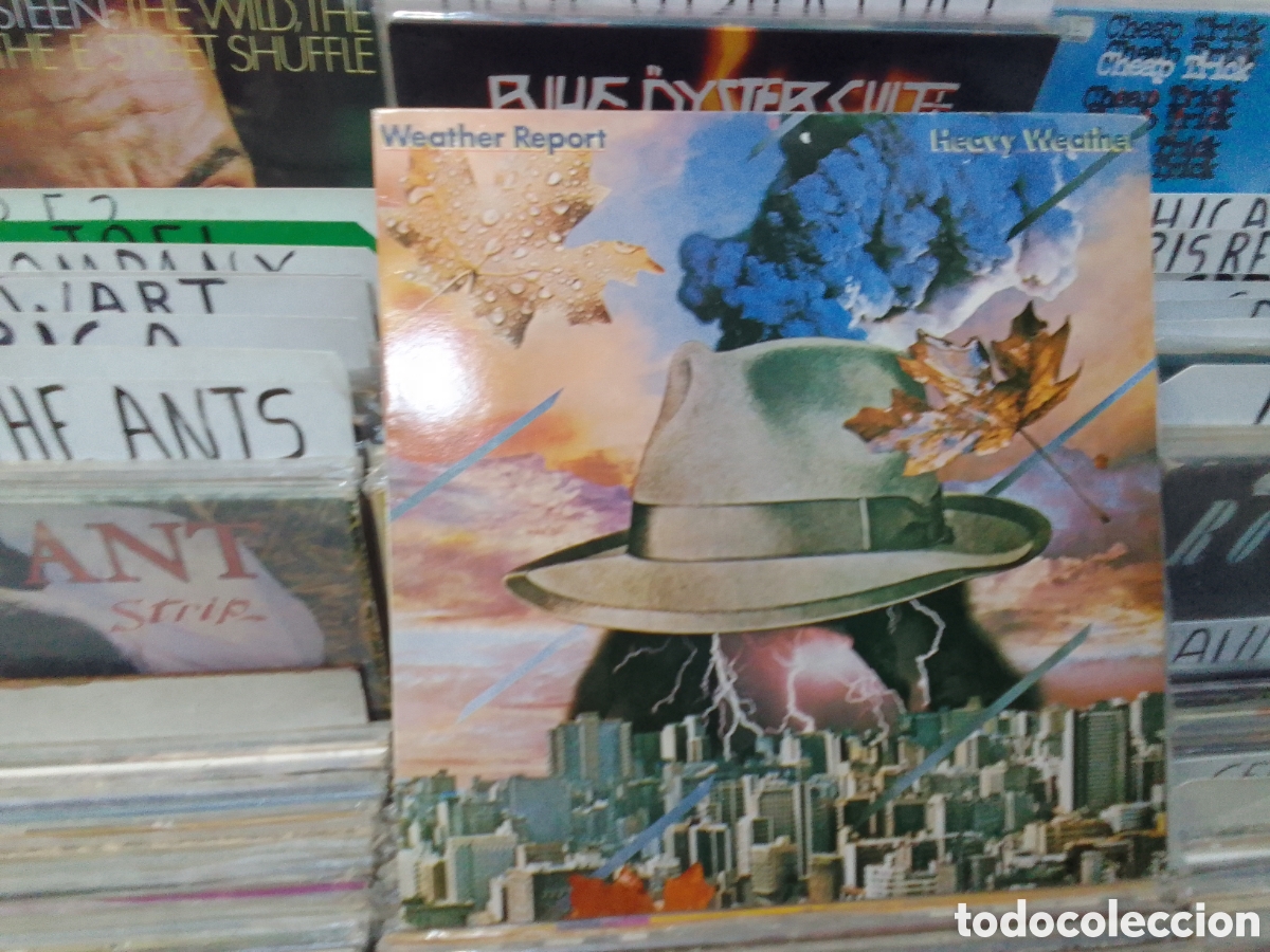 Discos de vinilo: Weather report, heavy weather