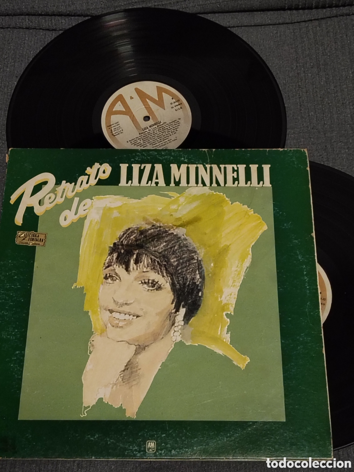 Discos de vinilo: vinilo doble &rdquo;Retrato de Liza Minnelli&rdquo; (la recopilaci&oacute;n de 1973/1974