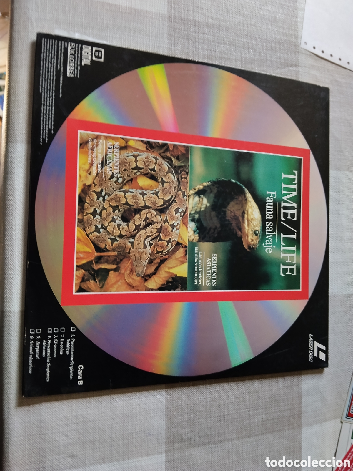 Discos de vinilo: Disco laser disc,patos,ocas, gansos,osos cara B felinos, primates