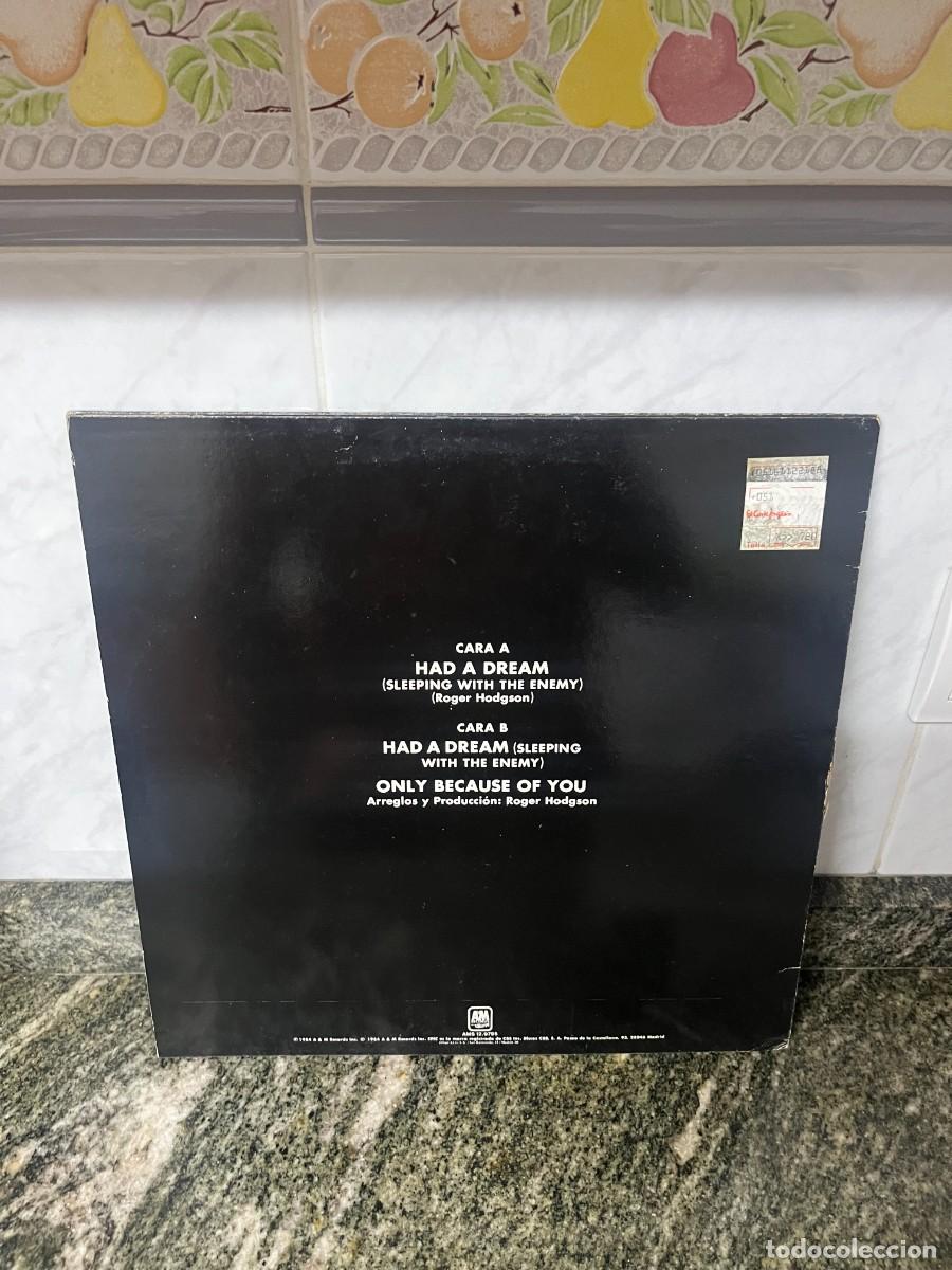 Discos de vinilo: Roger Hodgson Had A Dream - Foto 2