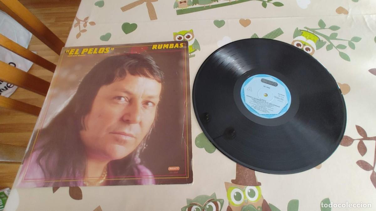 Discos de vinilo: EL PELOS Y LOS MARUS-LP RUMBAS
