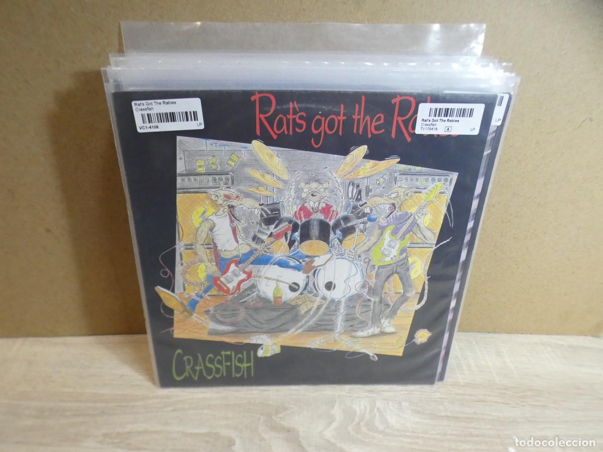 Discos de vinilo: ARKANSAS1980 PACC810 VINILO LEVE USO CORRECTO CRASSFISH RAT'S GOT THE RABIES