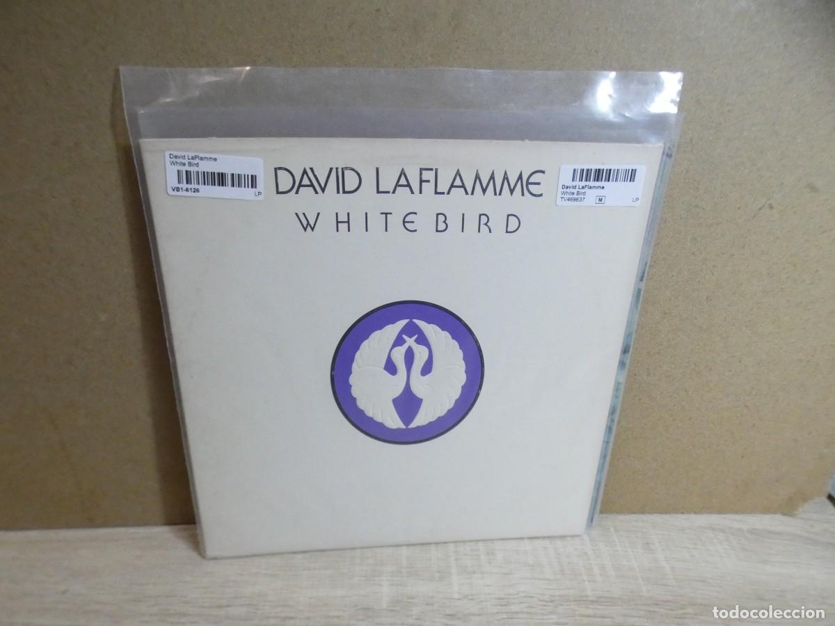 Discos de vinilo: ARKANSAS1980 PACC810 VINILO LEVE USO CORRECTO DAVID LAFLAMME