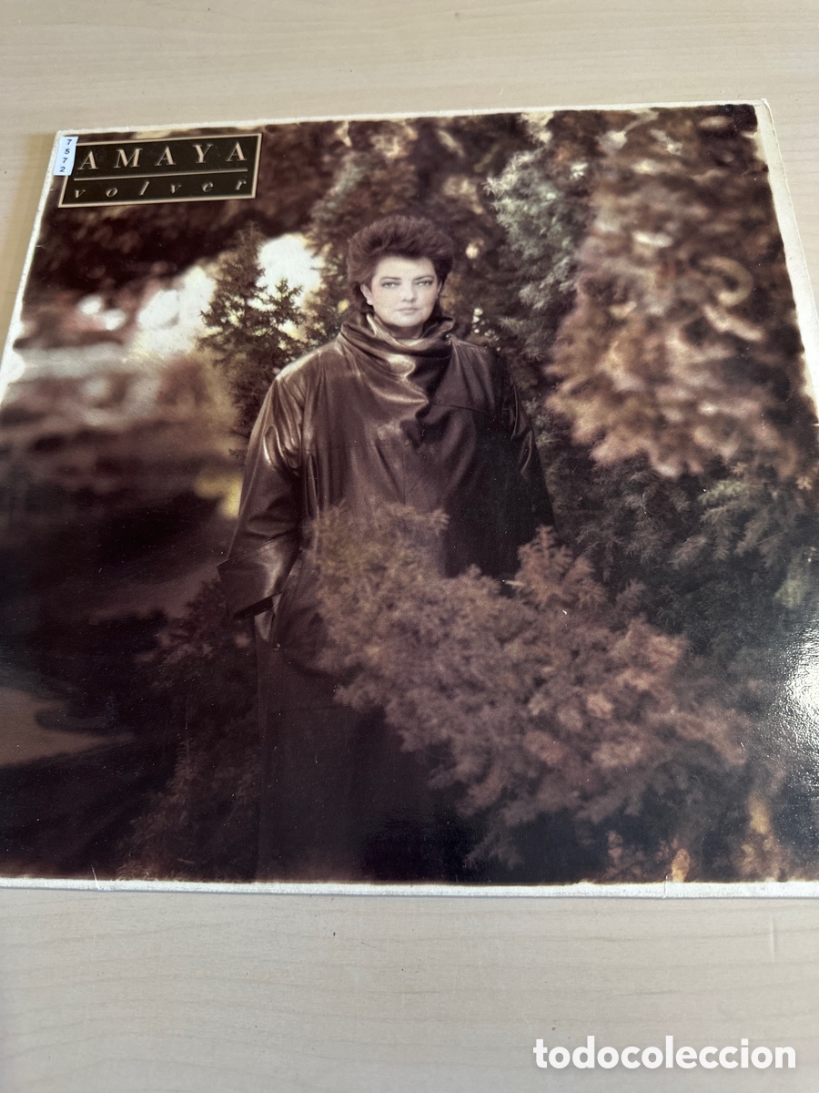 Discos de vinilo: VIN7572 Amaya volver vinilo segunda mano