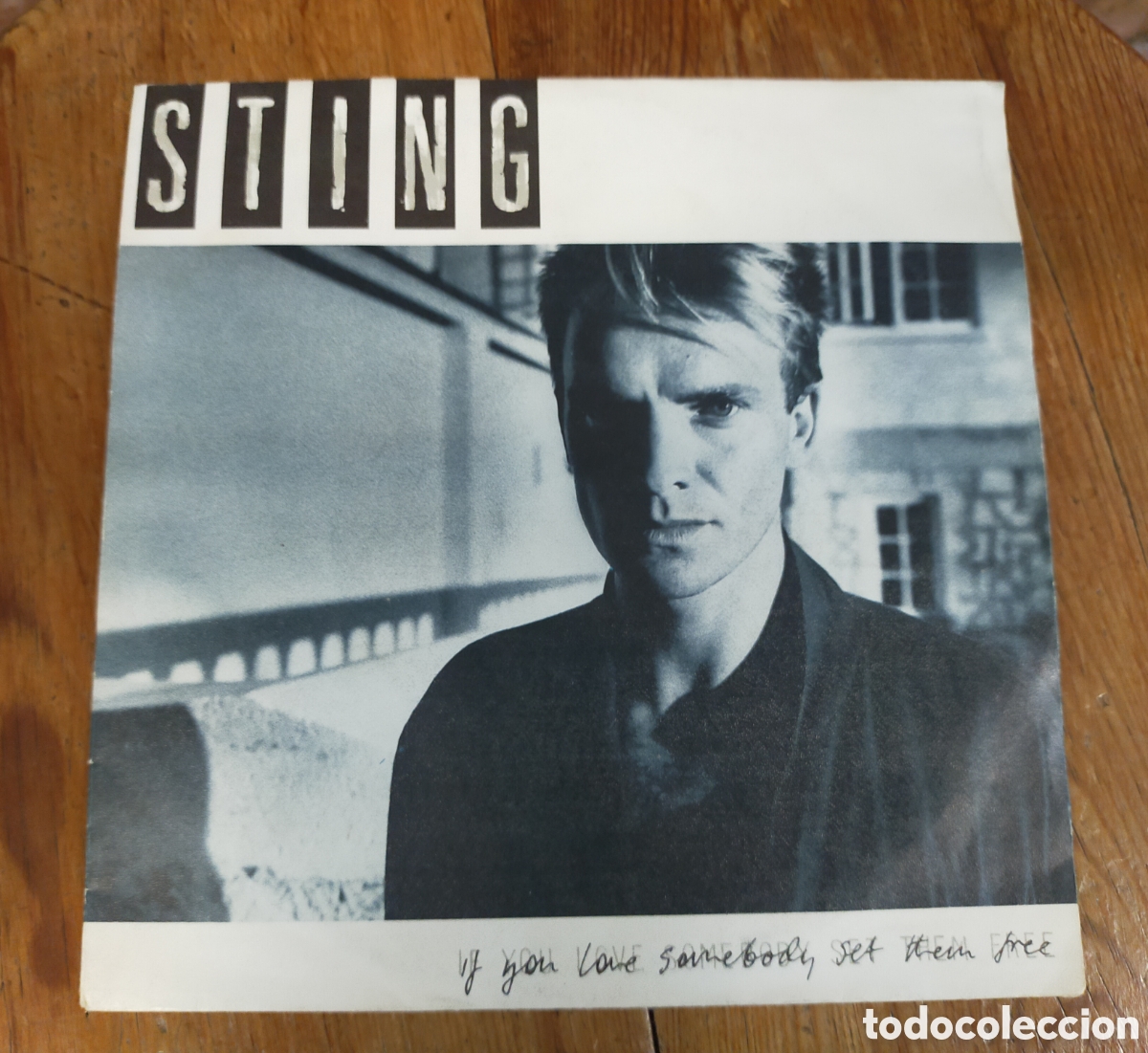 Discos de vinilo: vinilo de 7&rdquo; de la canci&oacute;n &laquo;If You Love Somebody Set Them Free&raquo;, del cantante brit&aacute;nico Sting,