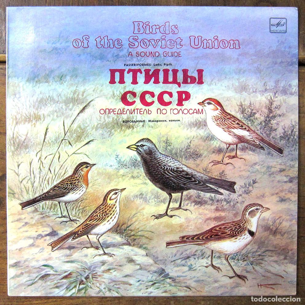 Discos de vinilo: SONIDOS DE LOS PAJAROS DE LA UNI&Oacute;N SOVI&Eacute;TICA - 1986 - ORNITOLOG&Iacute;A, AVES, URSS, CCCP