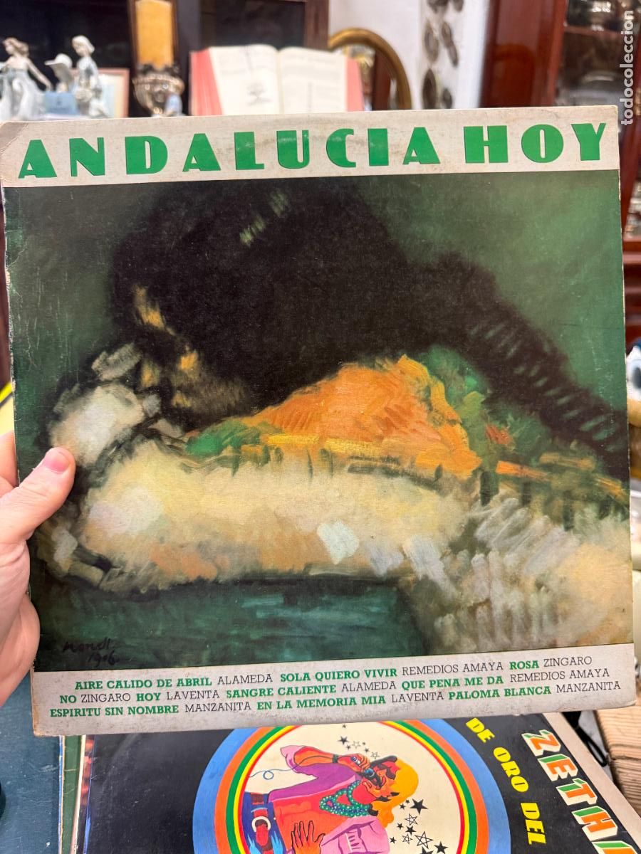 Discos de vinilo: LP ANDALUCIA HOY ---