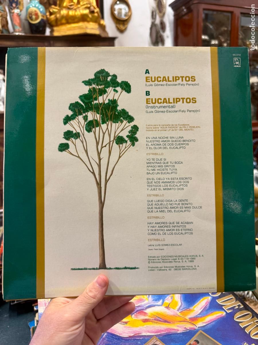 Discos de vinilo: LP MARIA DEL MONTE - EUCALIPTOS - Foto 2
