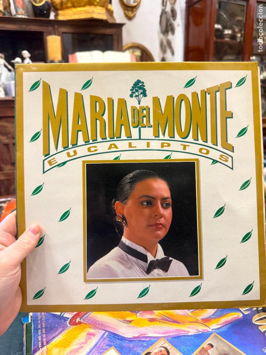 Discos de vinilo: LP MARIA DEL MONTE - EUCALIPTOS