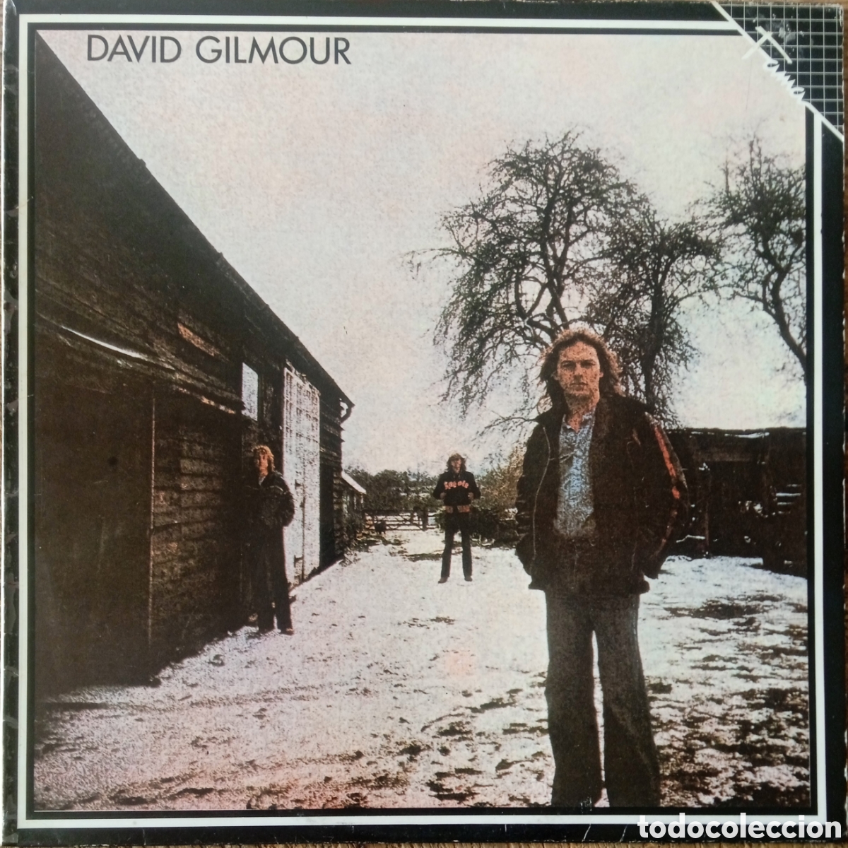 Discos de vinilo: Disco de vinilo David Gilmour
