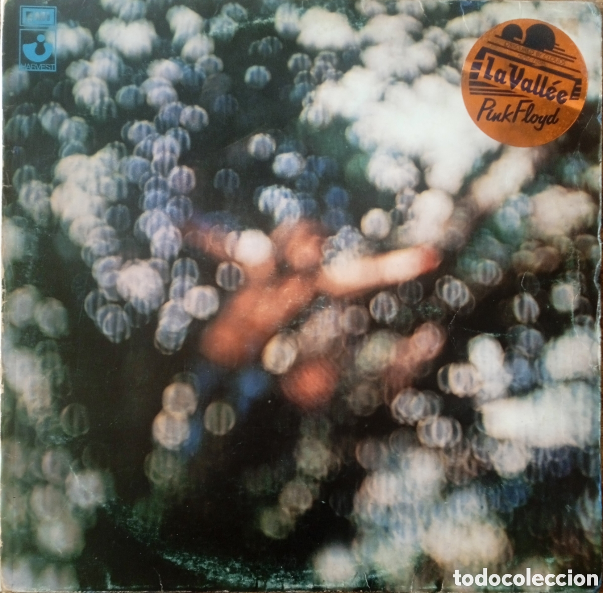 Discos de vinilo: Disco de vinilo Pink Floyd