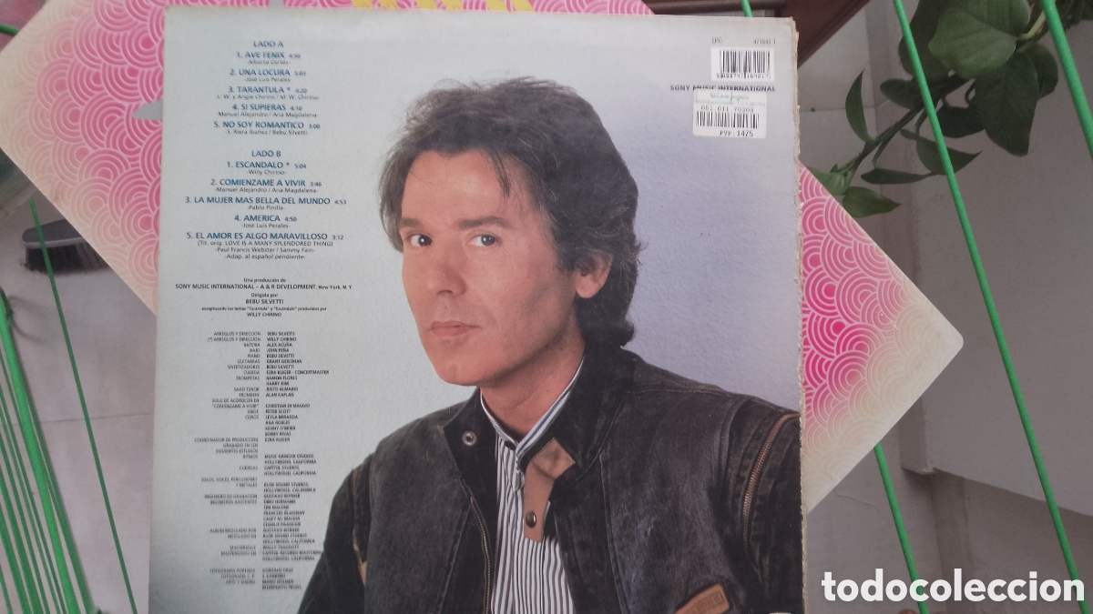 Discos de vinilo: Raphael - Ave F&eacute;nix - epic 1992 - Foto 6