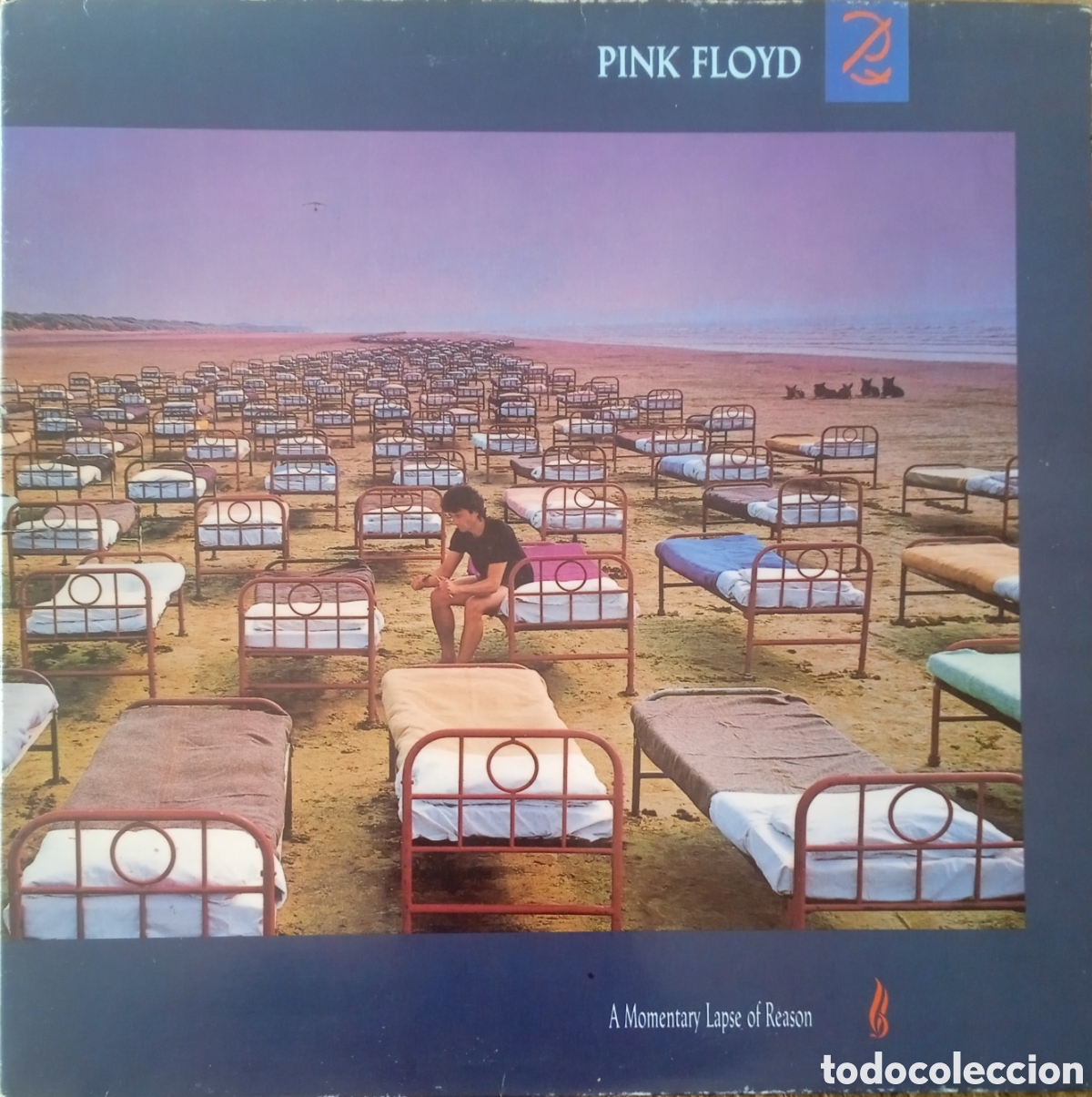 Discos de vinilo: Disco de vinilo Pink Floyd - Foto 1