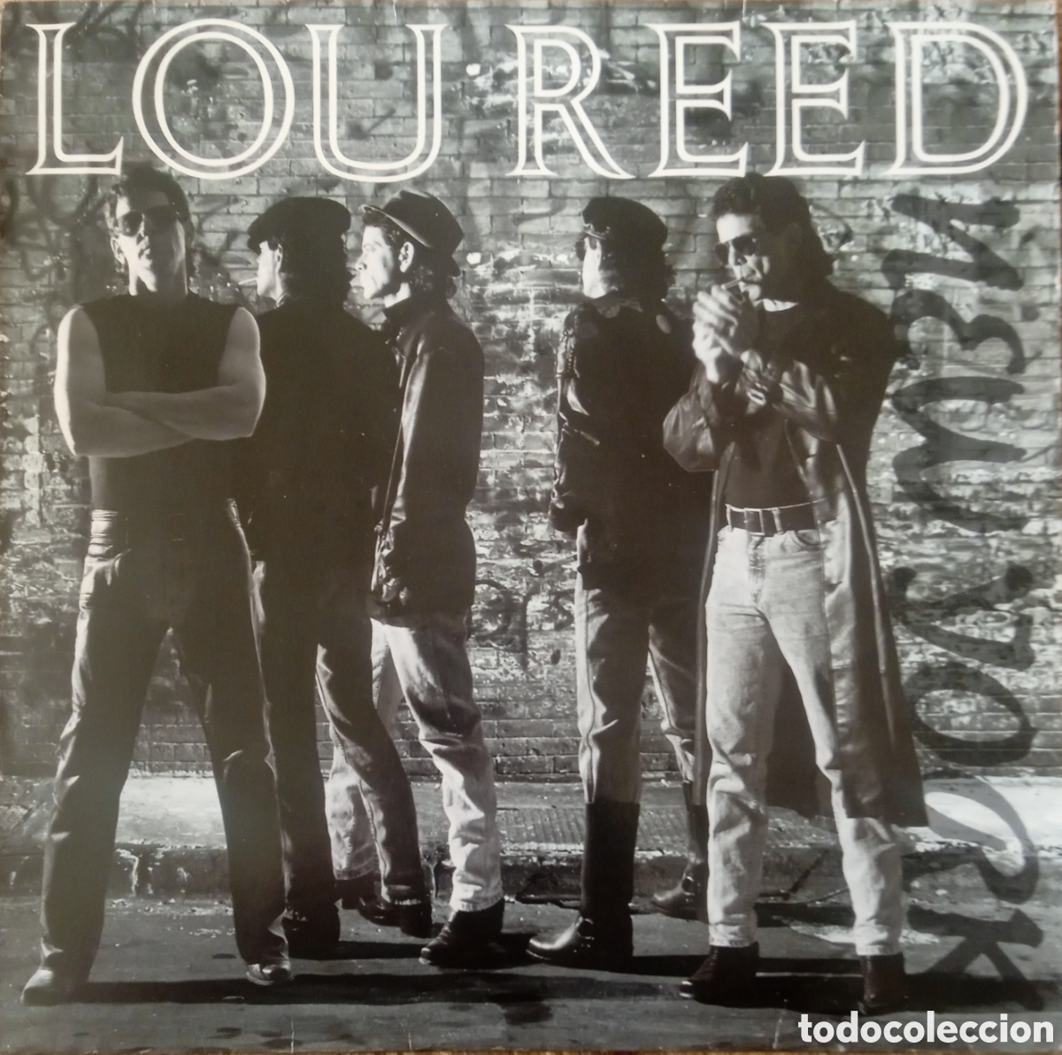 Discos de vinilo: Disco de vinilo Lou Reed