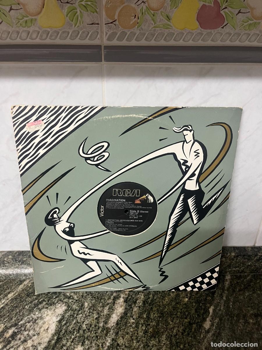 Discos de vinilo: Imagination Instinctual