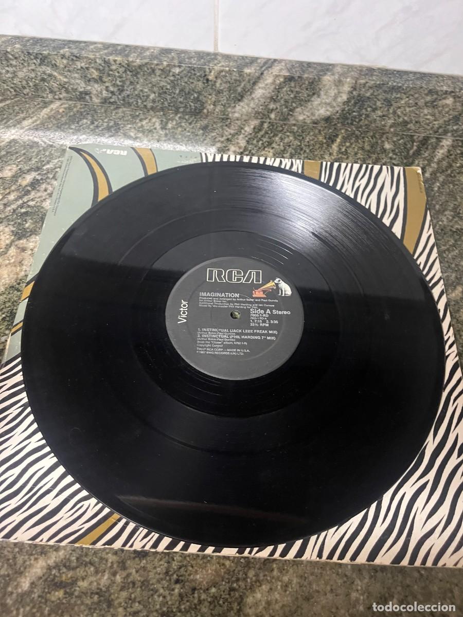 Discos de vinilo: Imagination Instinctual - Foto 2