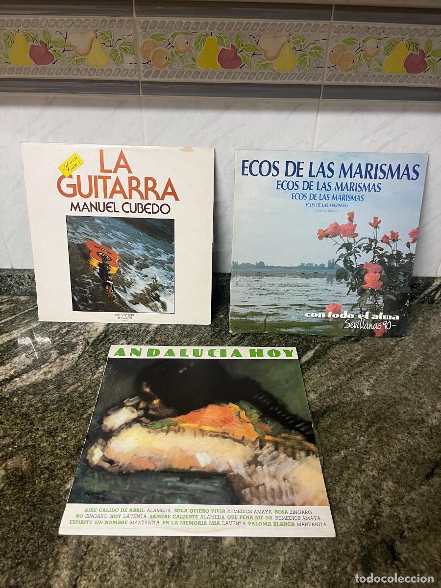 Discos de vinilo: lote x3 musica andalucia , flamenco