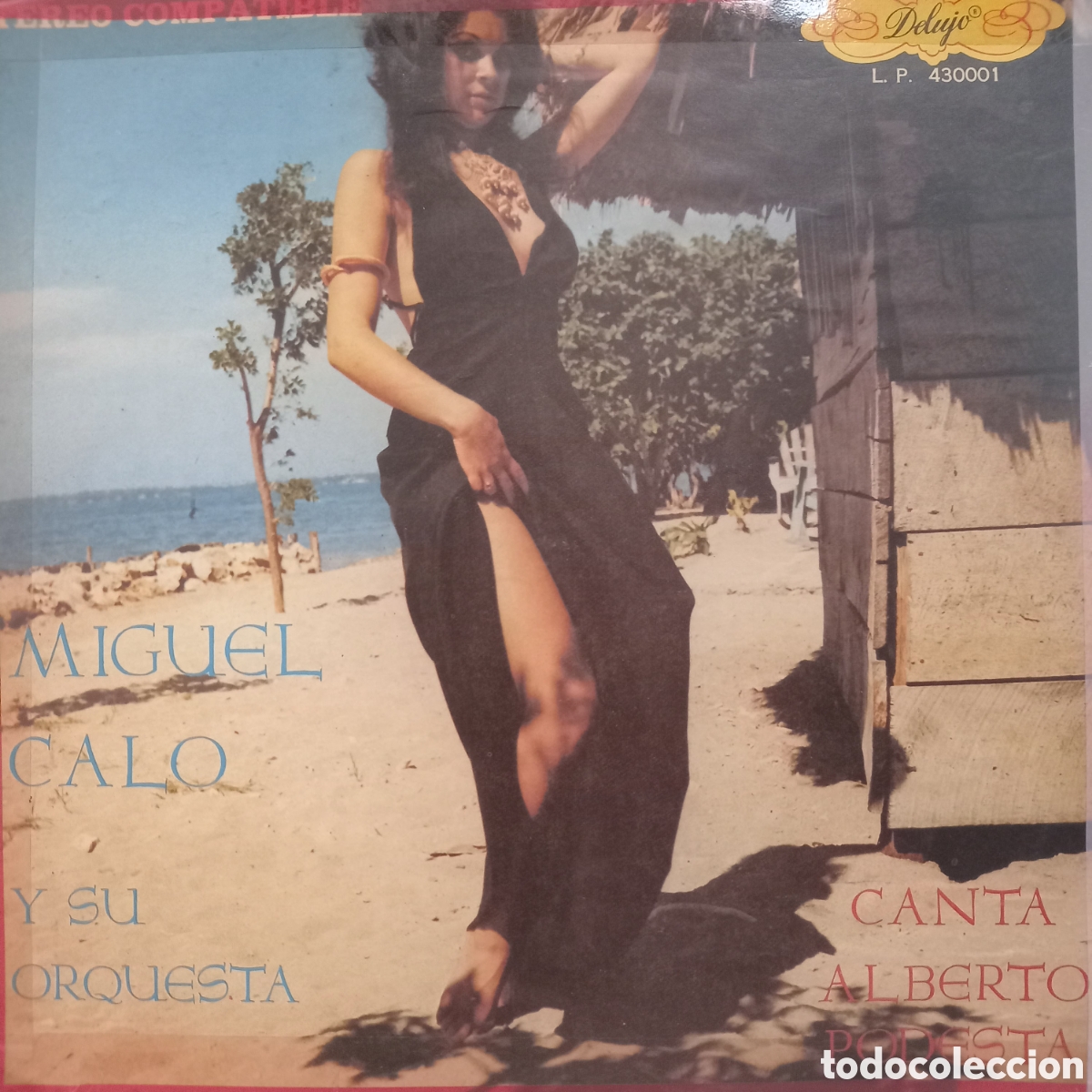 Discos de vinilo: Lp vinilo vinyl music m&uacute;sica tango tangos Miguel Calo Alberto podesta